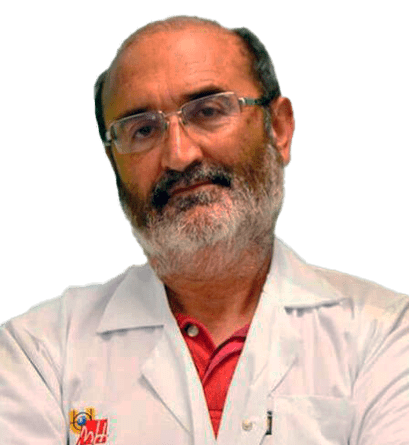 Vicente Gil Guillen